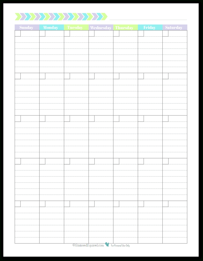 Sunday Start Portrait Full Size - Scattered Squirrel  Printable Full Size Blank Calendar