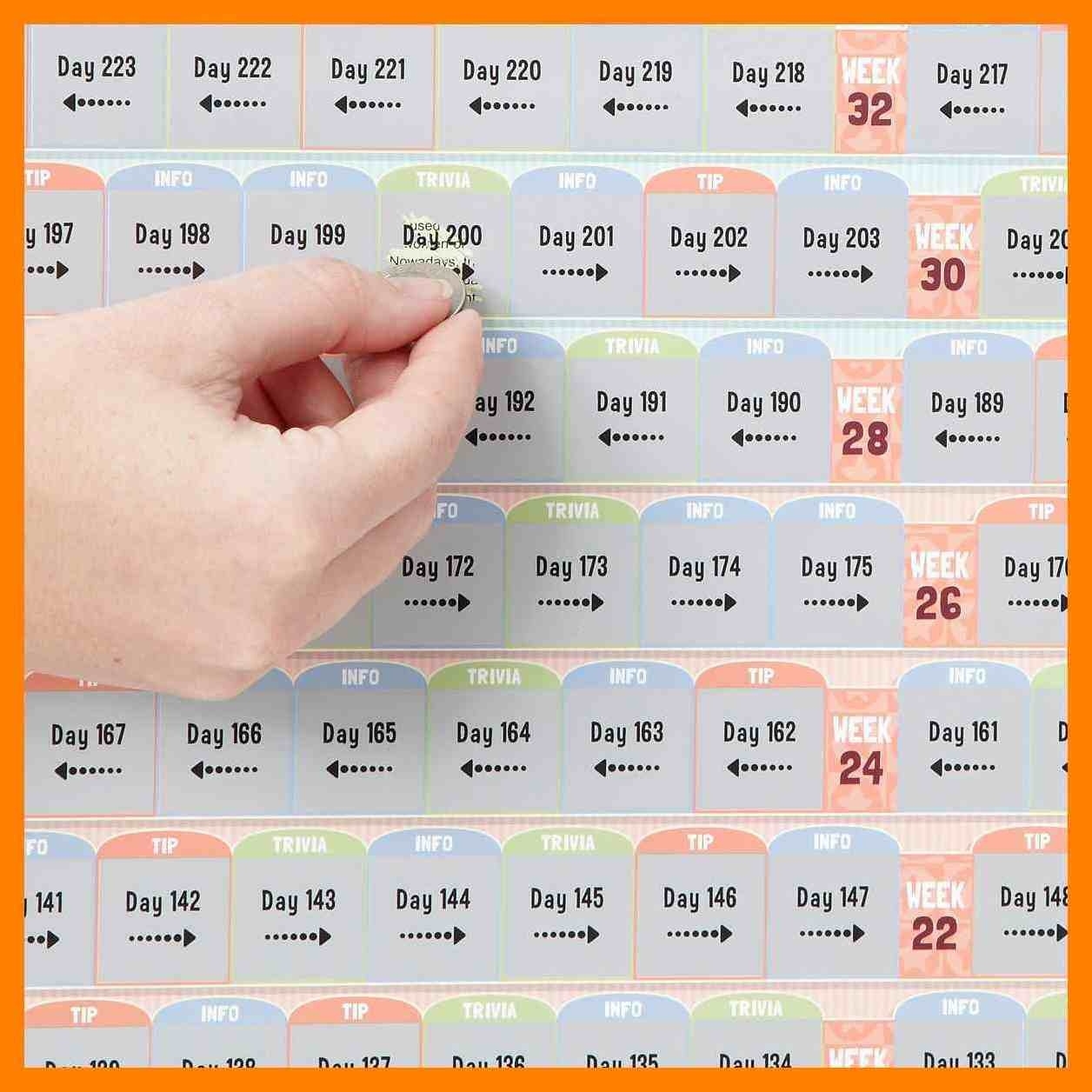 15+ Pregnancy Calendarday | Stretching And Conditioning  Pregnancy Calender Day By Day