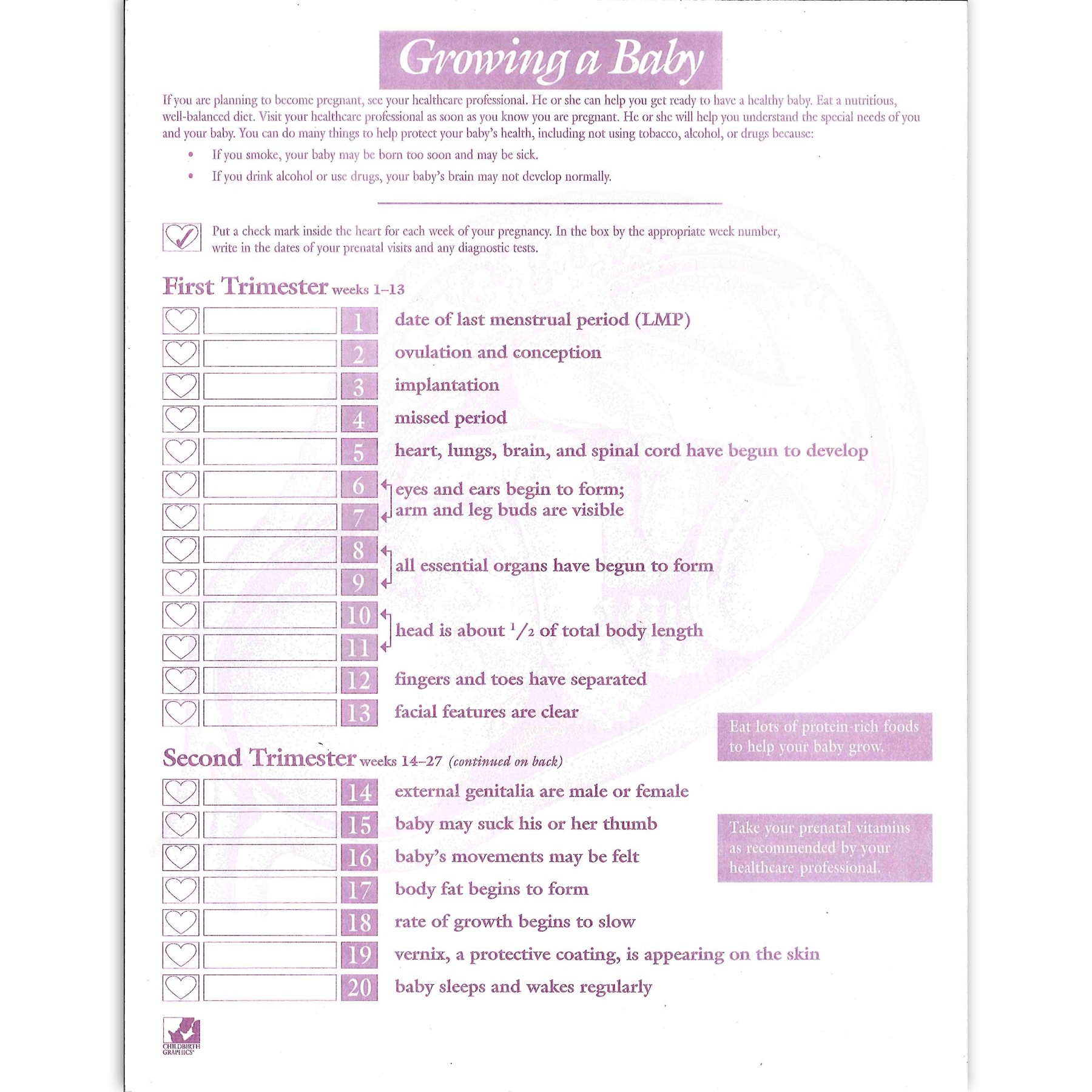 Growing A Baby Pregnancy Tear Pad | Childbirth Graphics  Pregnancy Timeline Week By Week