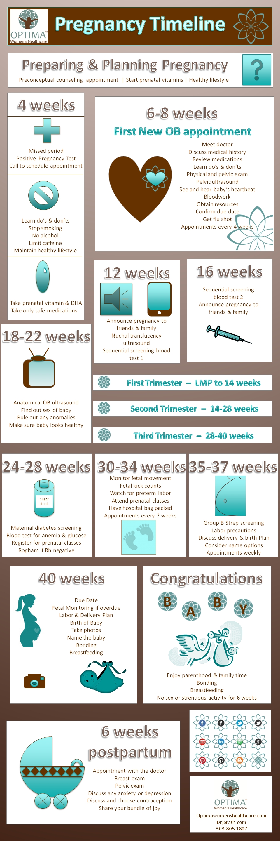 Optimawhc Pregnancy Timeline For Preparing And Planning Pregnancy  Pregnancy Timeline Week By Week
