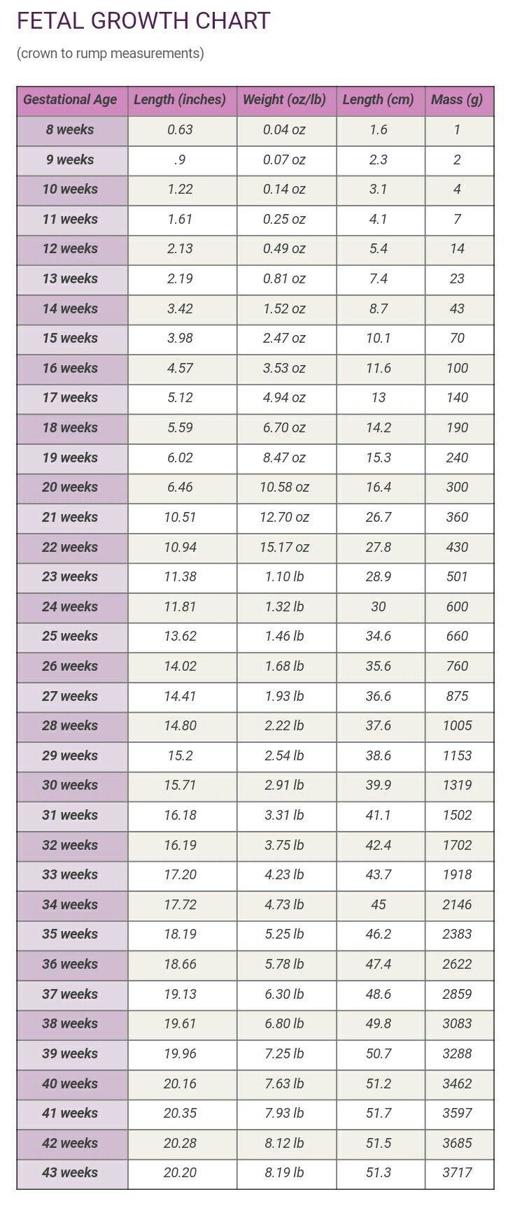 Fetal Growth Chart (8 -43 Weeks) | Pro-Life | Fetal Growth Chart  Weekly Pregnancy Calendar Week By Week Pregnancy Calendar