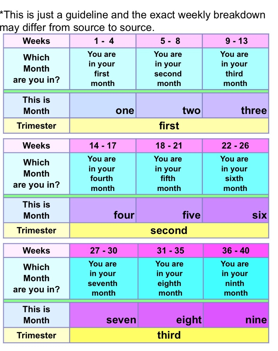 Pregnancy 10 Months? - October 2018 Babies | Forums | What To Expect  Pregnancy Calendar Weeks To Months