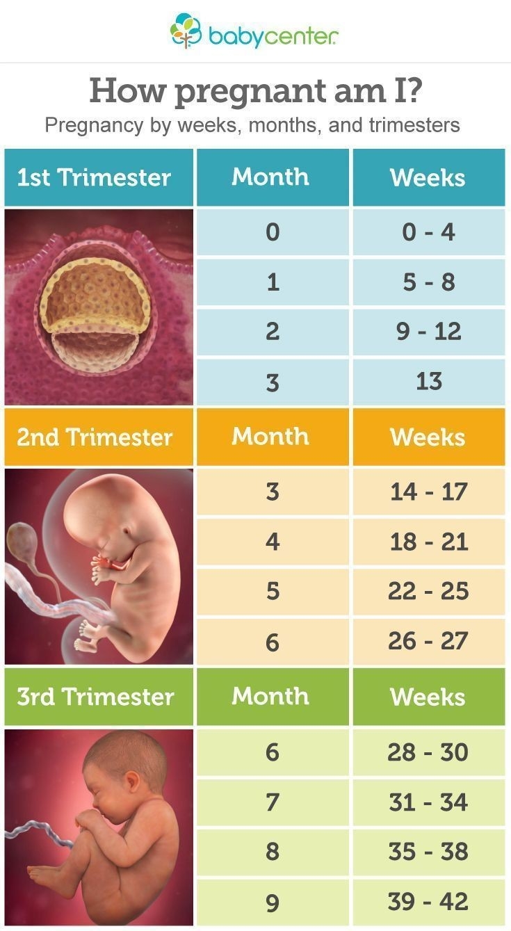 Really Helpful Chart On Pregnancyweeks, Months And Trimesters  Pregnancy Calendar Weeks To Months