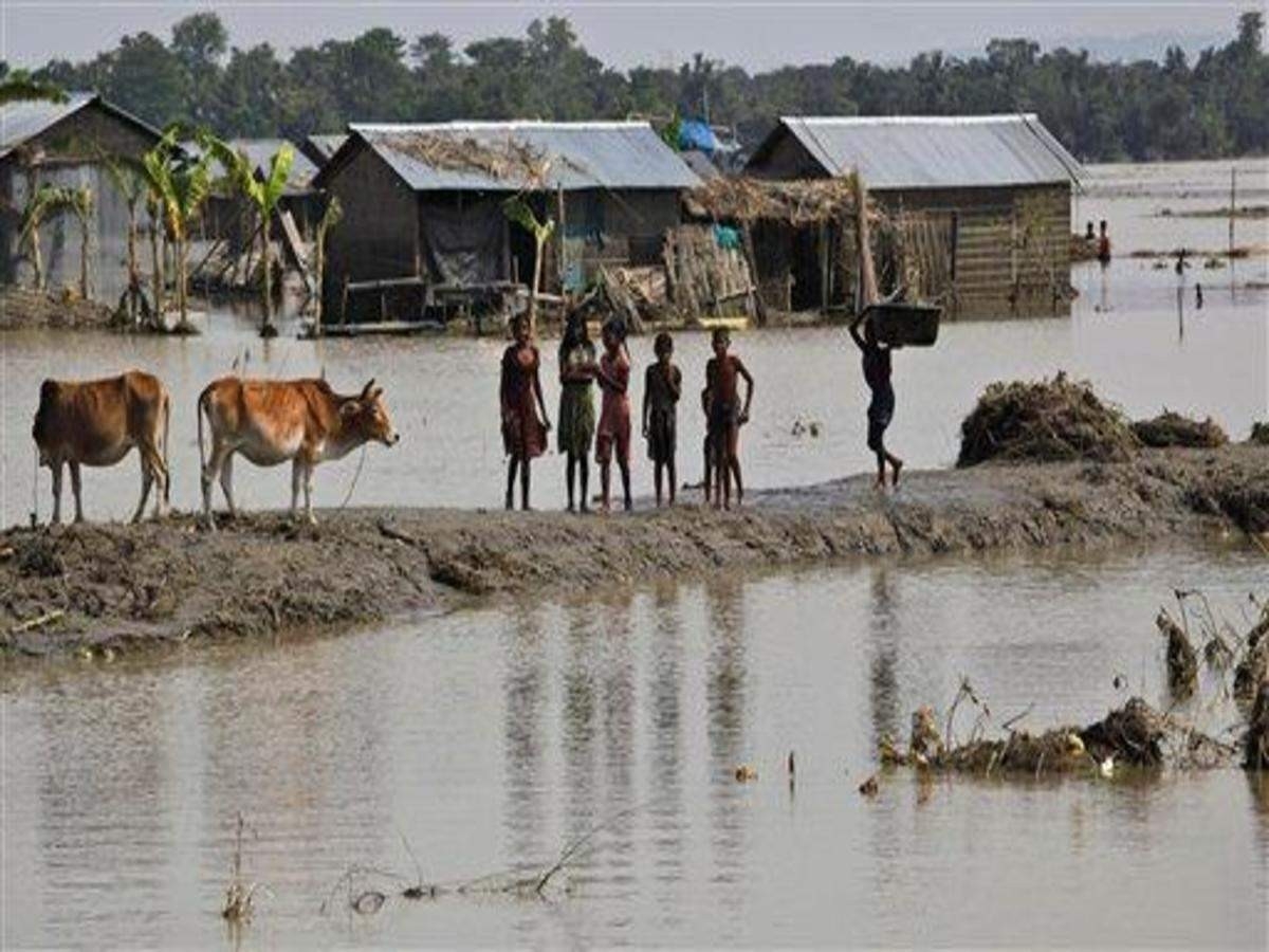 1.8 Million Children Affected In Assam Floods: Ngo - The  +Hindu Calander