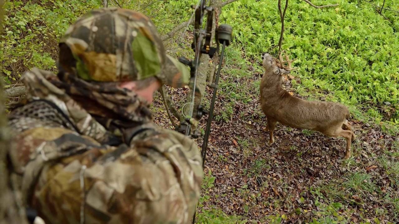 2016 Whitetail Rut Predictions With Charles Alsheimer  Deer Rut Schedule