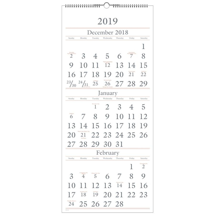At-A-Glance® 3-Month/14-Month Wall Calendar, 12&quot; X 27&quot;, December 2018 To  January 2020  Depot Calendar 2020