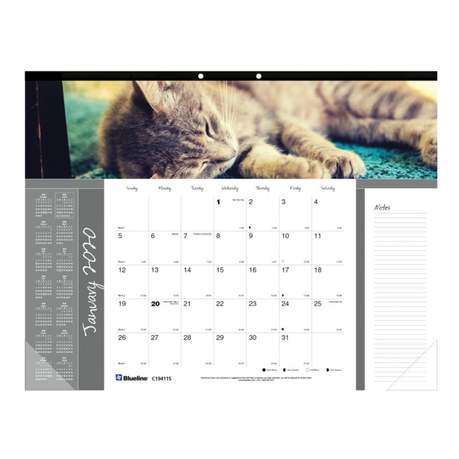 Blueline® Cats Monthly Desk Pad Calendar, 22&quot; X 17&quot;, January To December  2020  Depot Calendar 2020