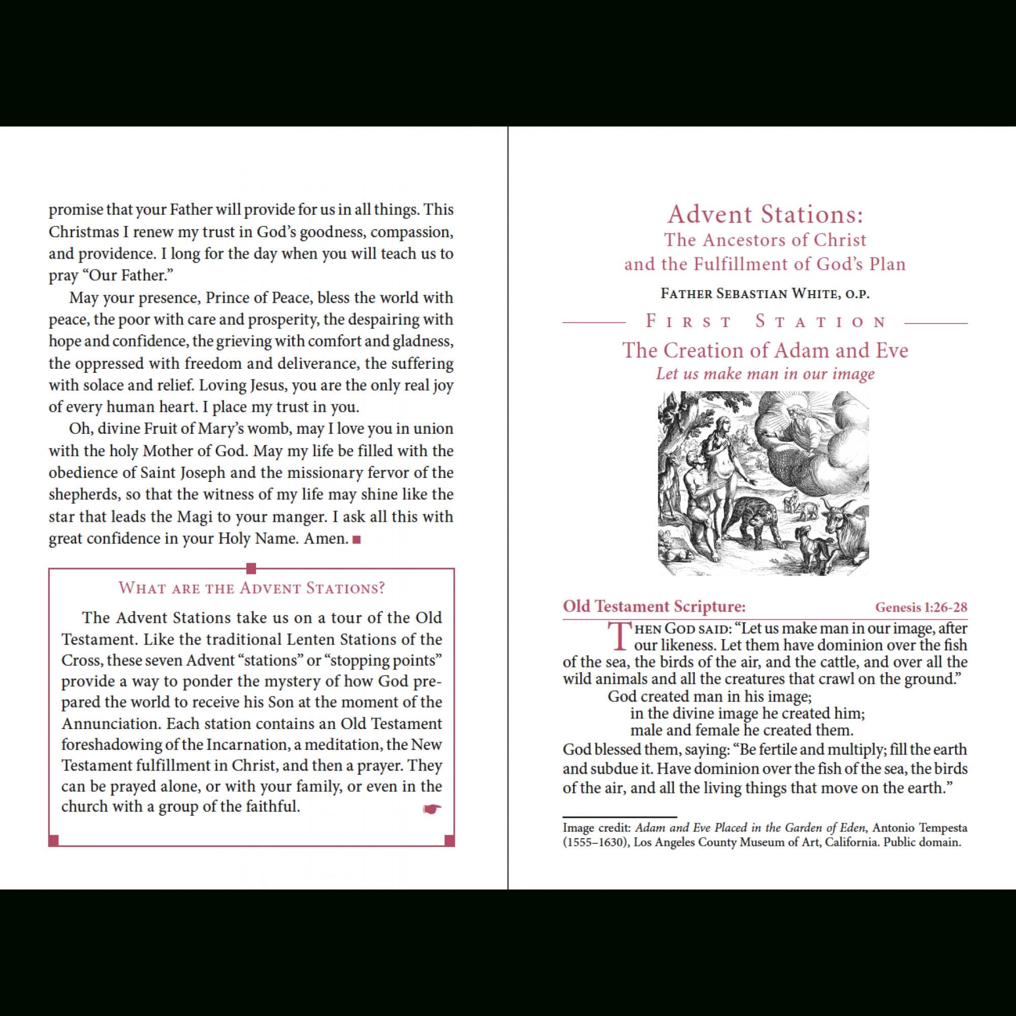 Magnificat Advent Companion  Advent Scripture 2020