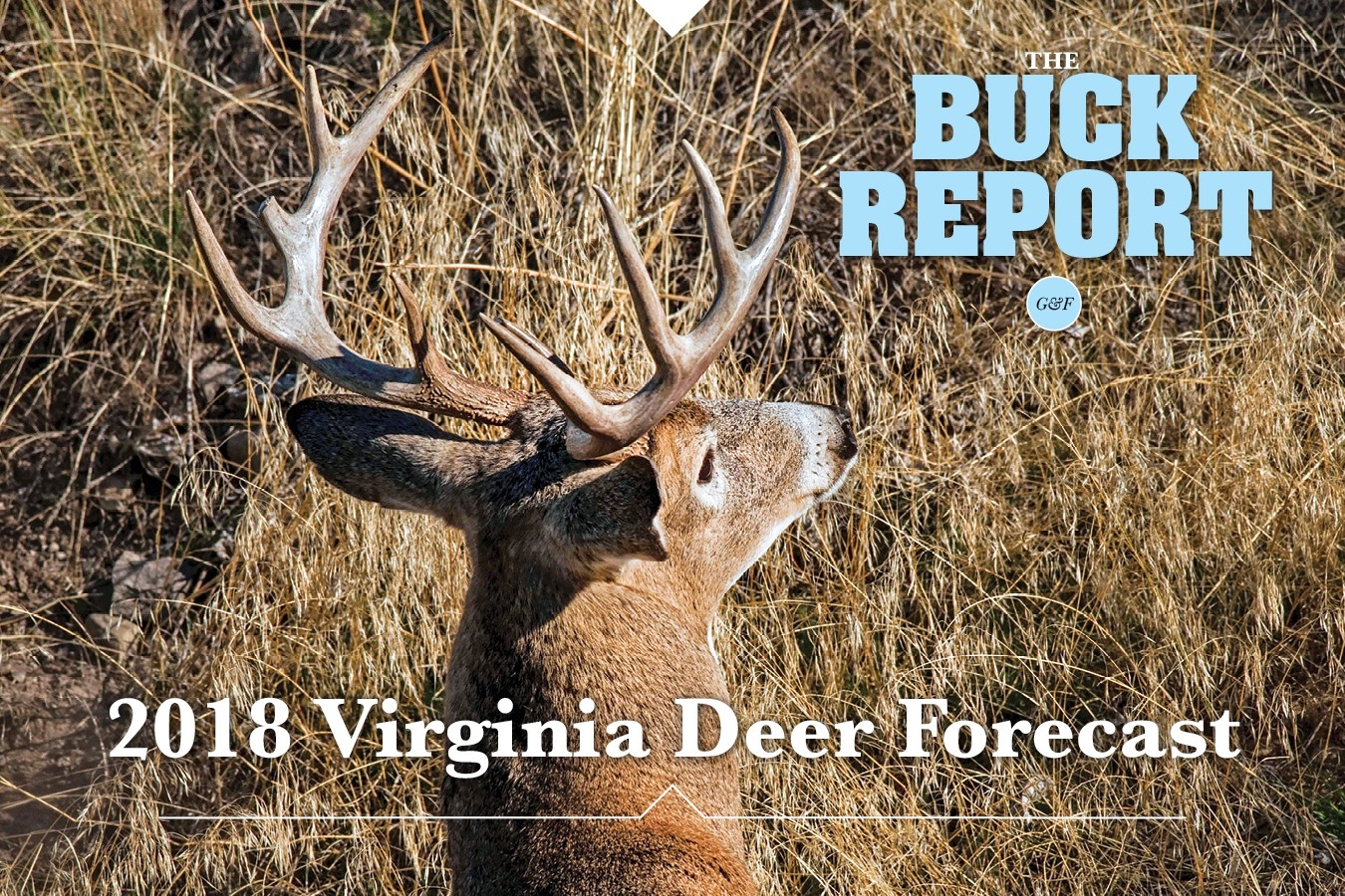 2018 Virginia Deer Forecast  Georgia Deer Forecast