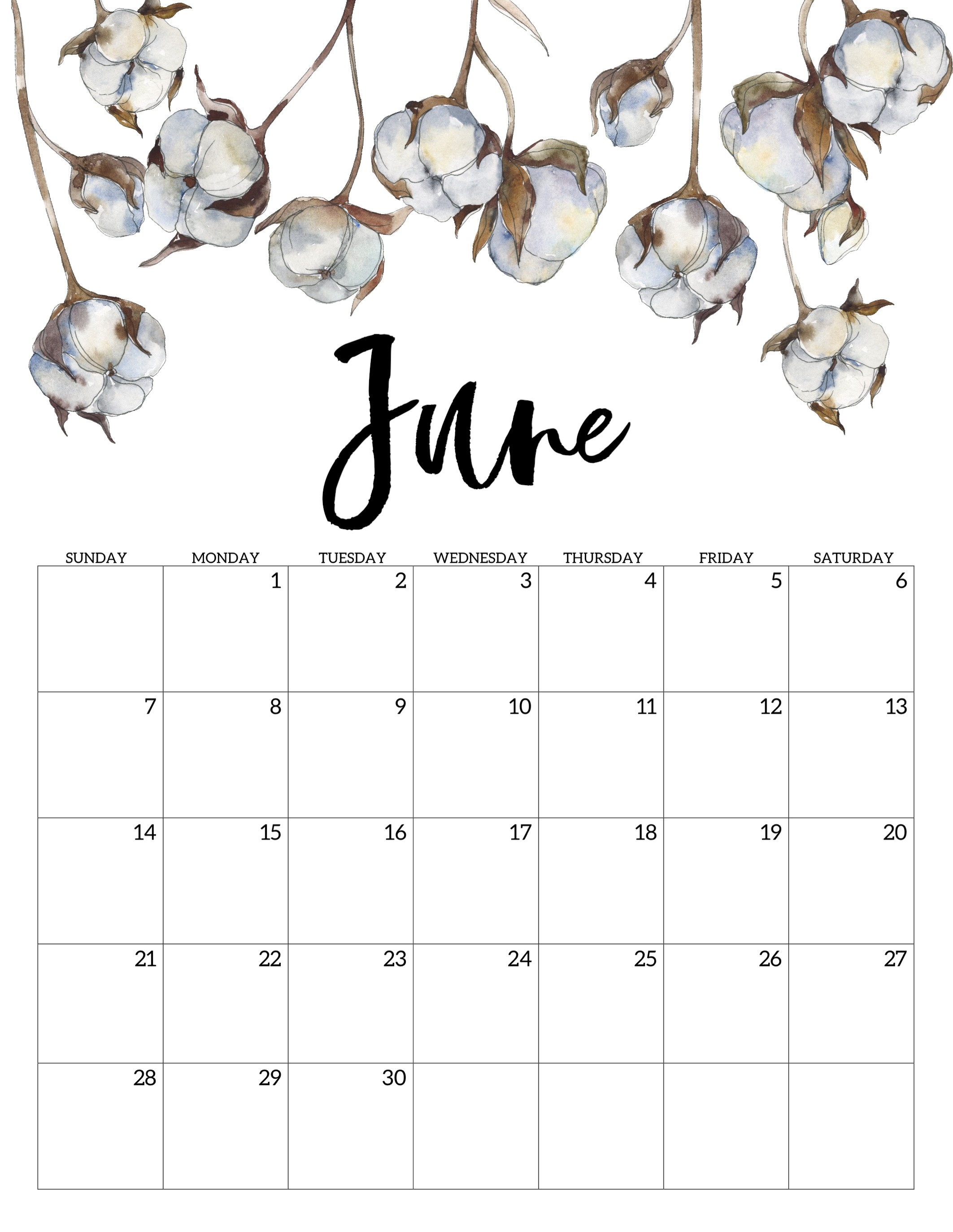 2020 Free Printable Calendar - Floral - Paper Trail Design  Printable 2020 Monthly Calendar Template Girly