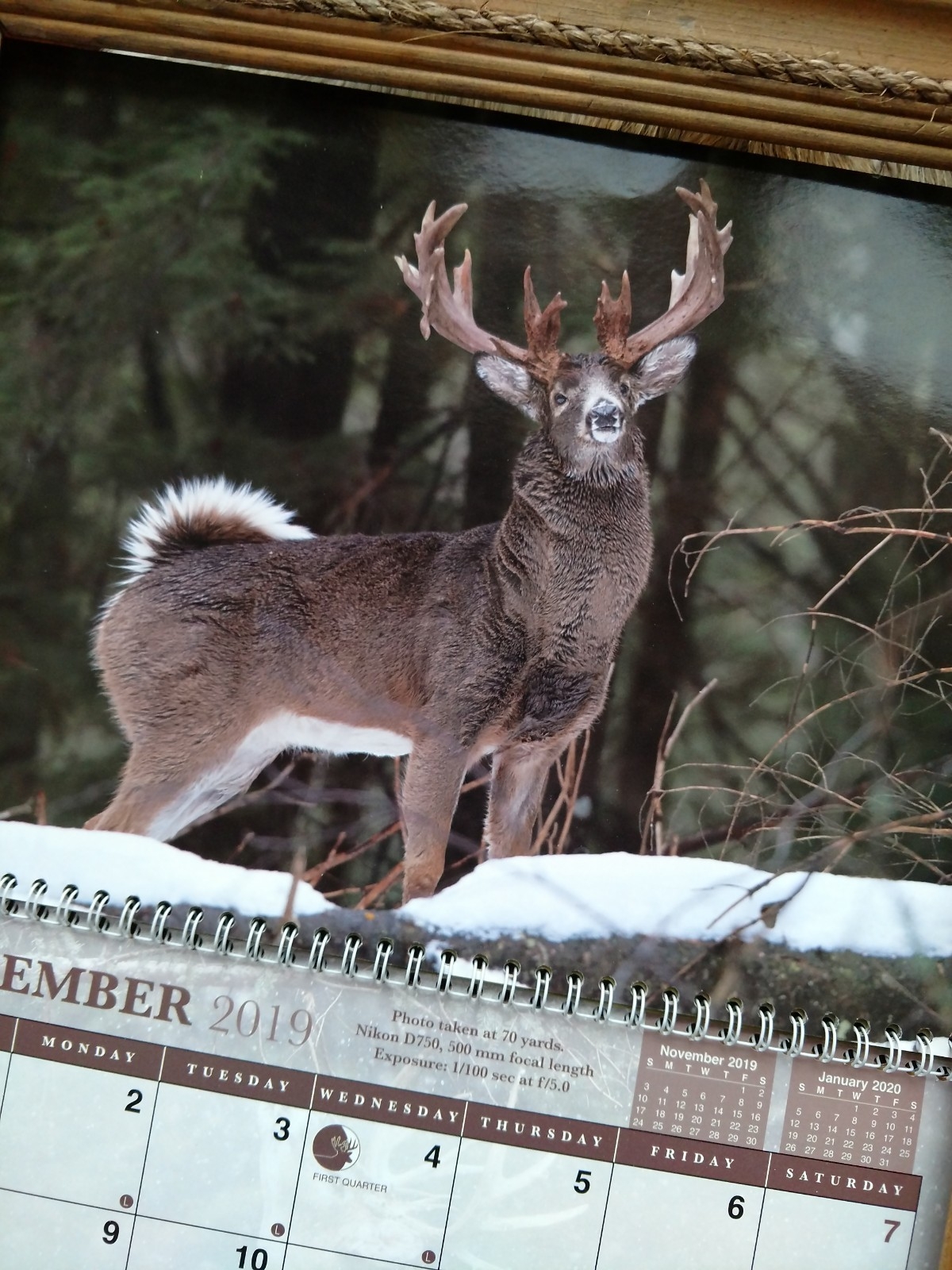 Deer Calendar - Billkinney %  Whitetail Rut Calendar 2020