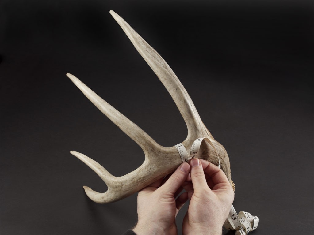 Deer &amp; Deer Hunting - Deer And Deer Hunting  Shopdeerhunting.com 2020 Calendar Rut Forecast