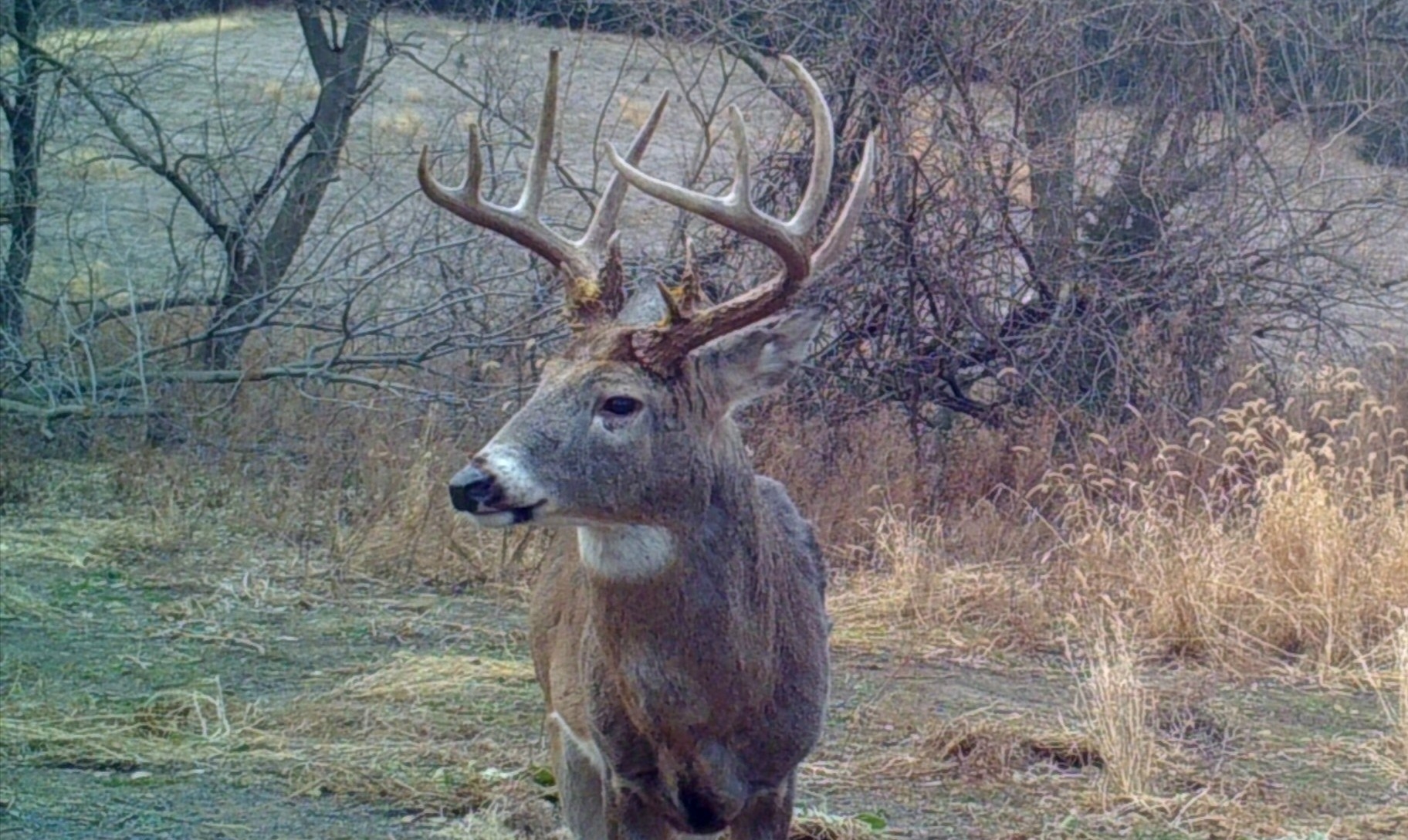 2018 Whitetail Rut Forecast And Hunting Guide | Whitetail  When Will The Rut Start In Pa