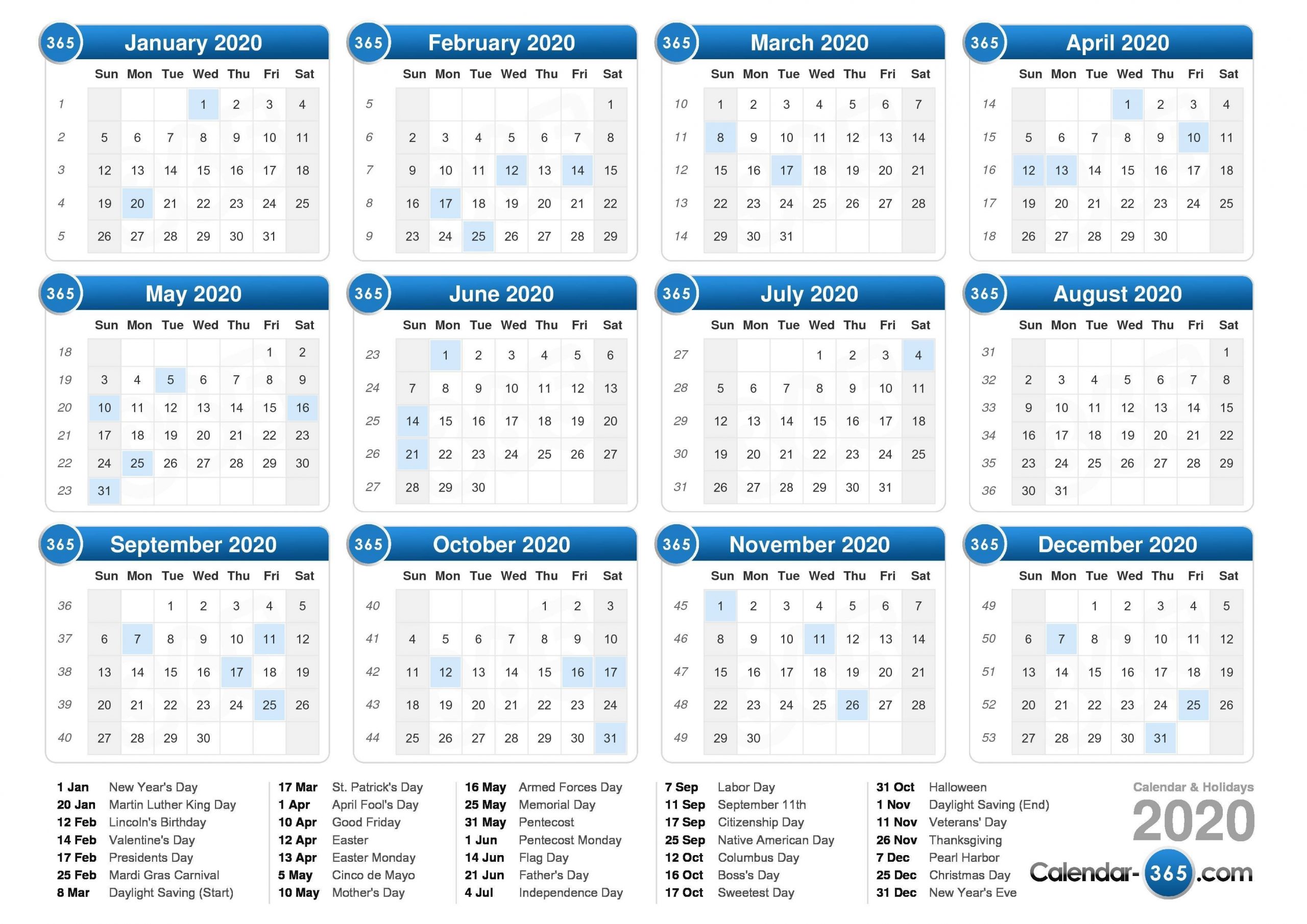2020 Calendar  365 Days Calendar