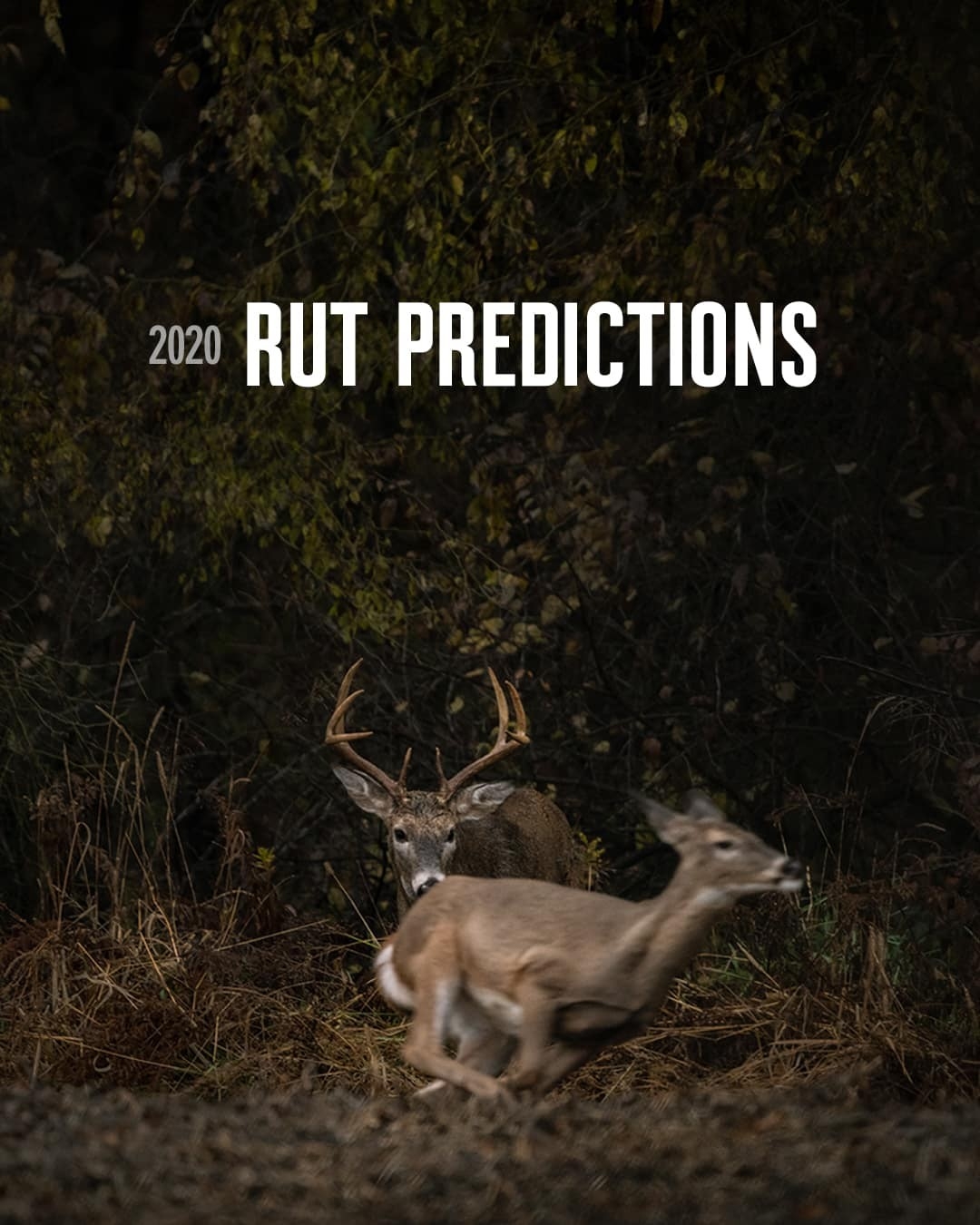 2020 Rut Predictions | Onx Maps  2021 Rut Preidction For Pa