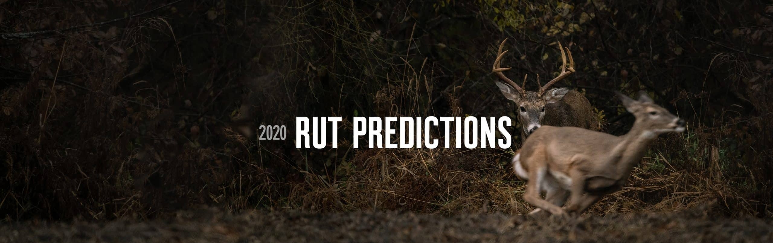 2020 Rut Predictions | Onx Maps  Pa Rut Prediction 2021