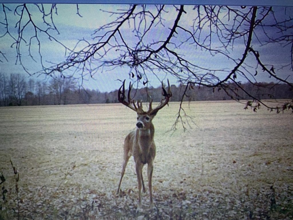 Indiana Hunting Outfitters | Whitetail Hunting Trips  2021 Indiana Deer Rut