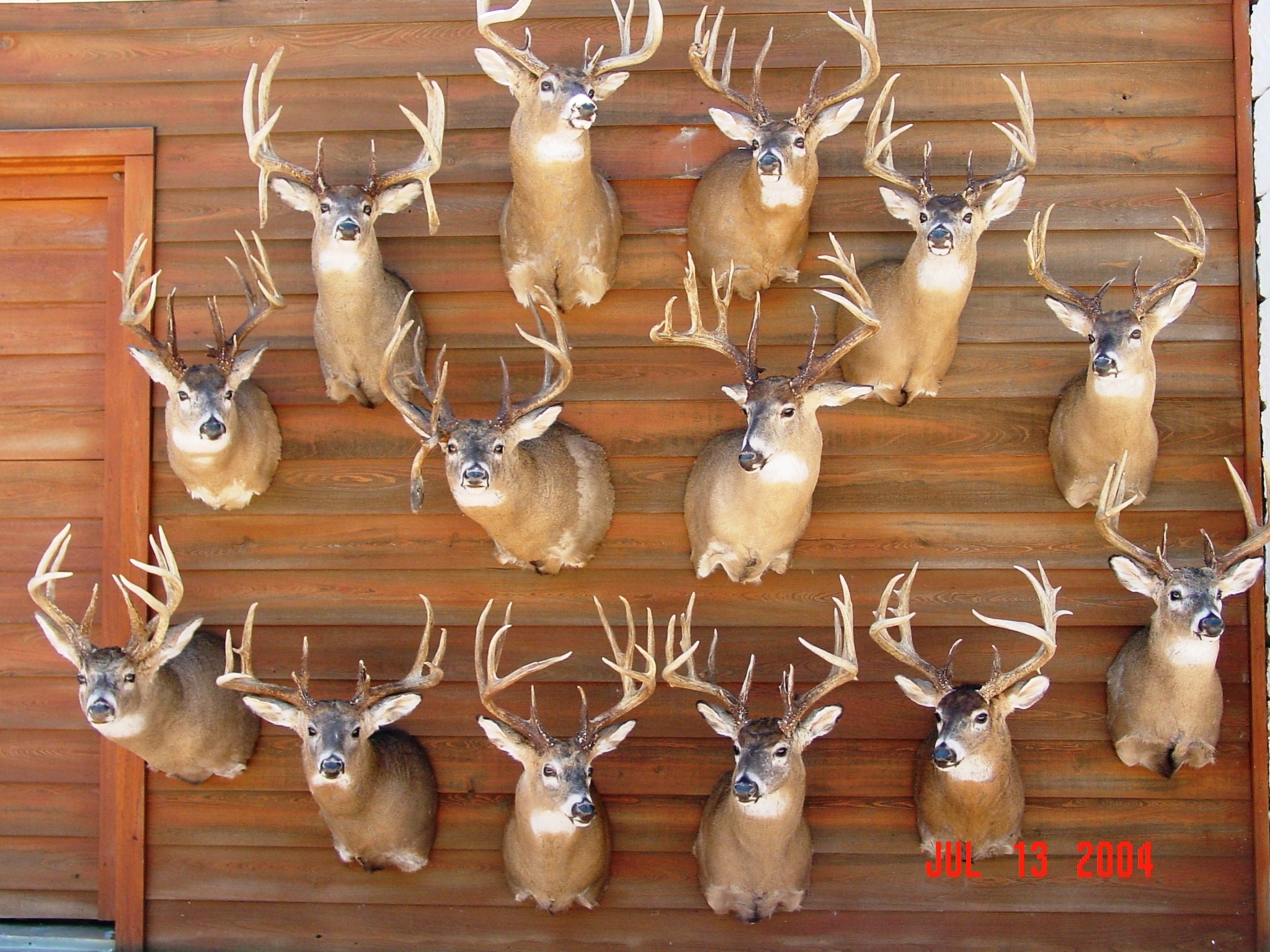 Kansas Whitetail Outfitters | Ks Deer | Hunting Kansas  Kansas Deer Rut Dates