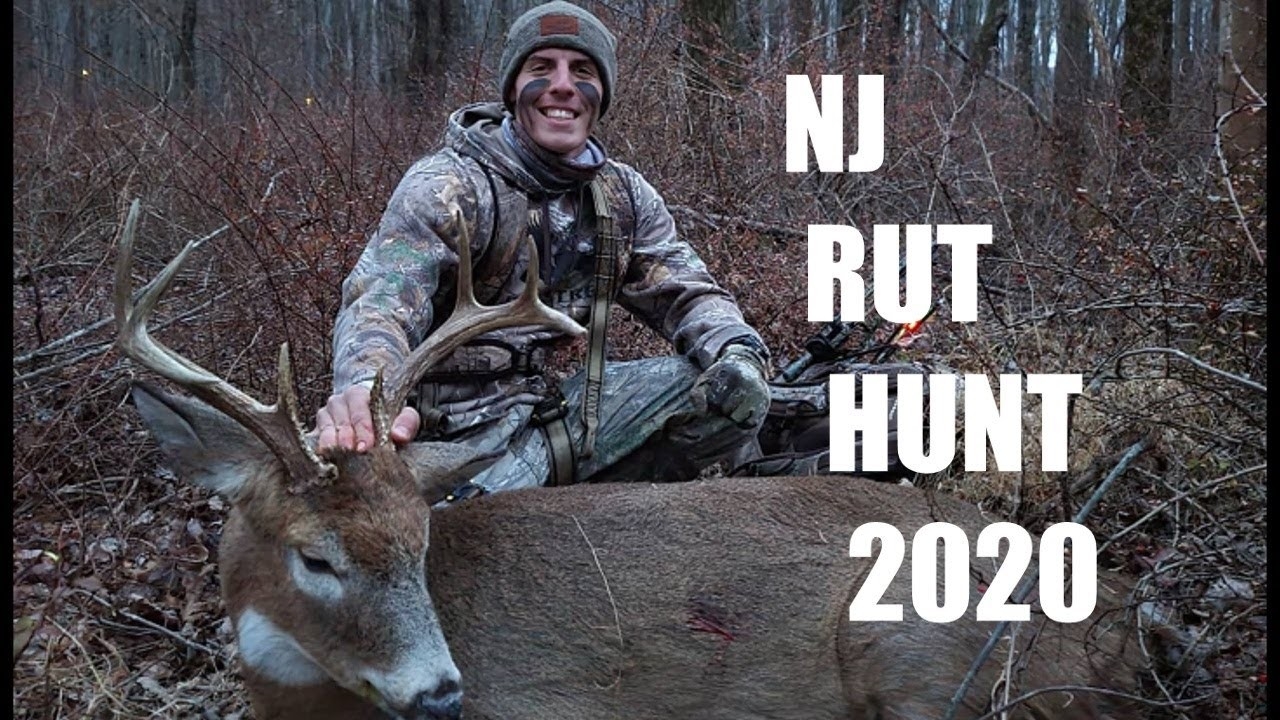 Nj Bow Hunting 2020 8 Pointer (Rut Action)  Rut In Nj