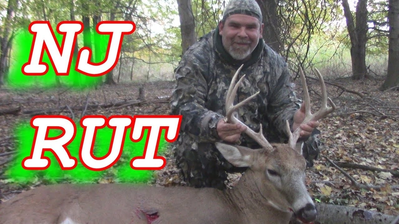 Rattling In Buck To 20 Yards -Bow Hunting Nj-  Rut In Nj