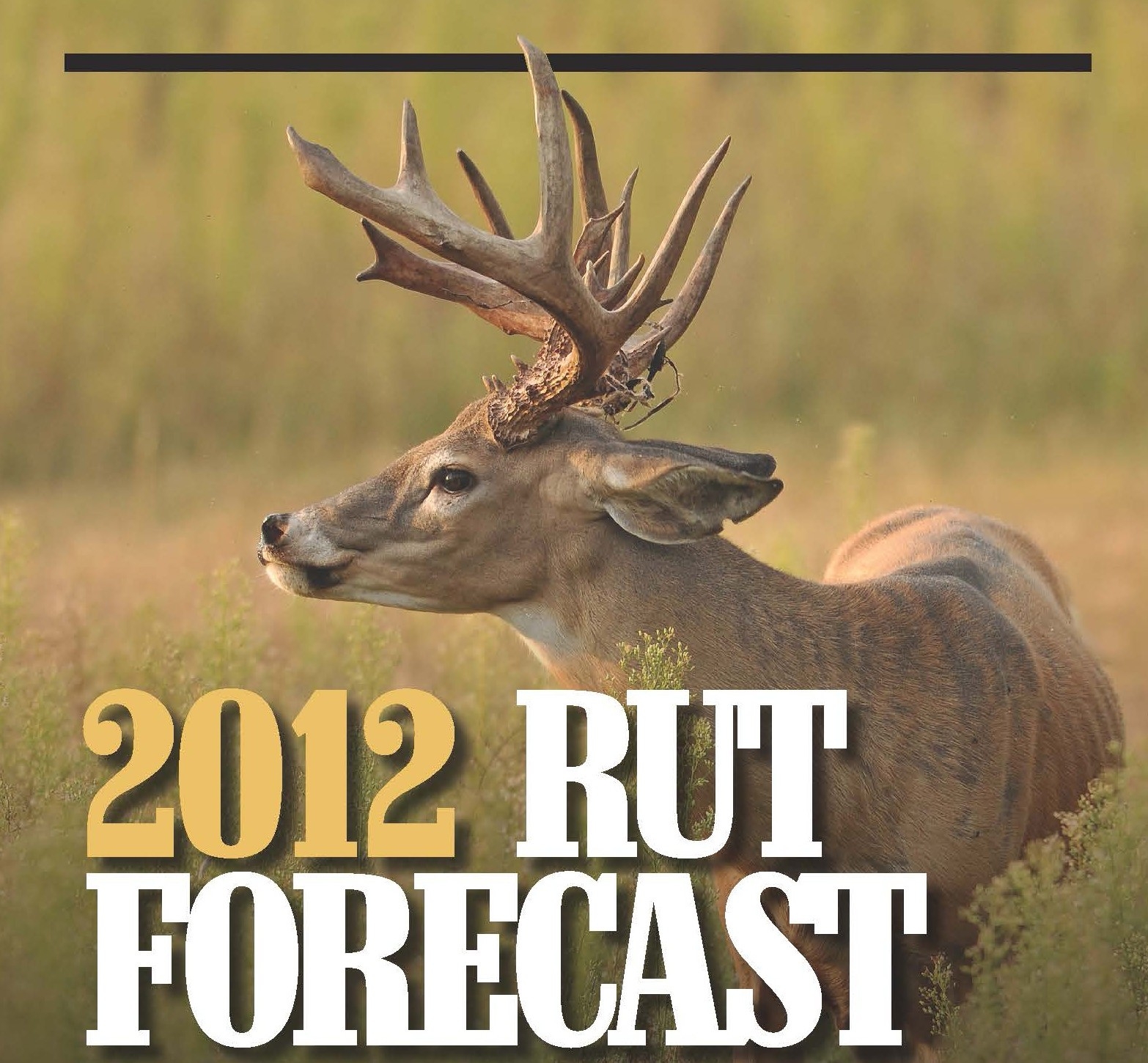 Rut Forecast Archives - Deer And Deer Hunting  Nj Deer Rut Forcast 2021