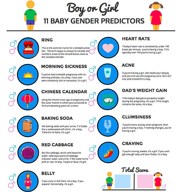 11 Baby Gender Predictors With A Free Printable Download  Gender Prediction Chart Printable