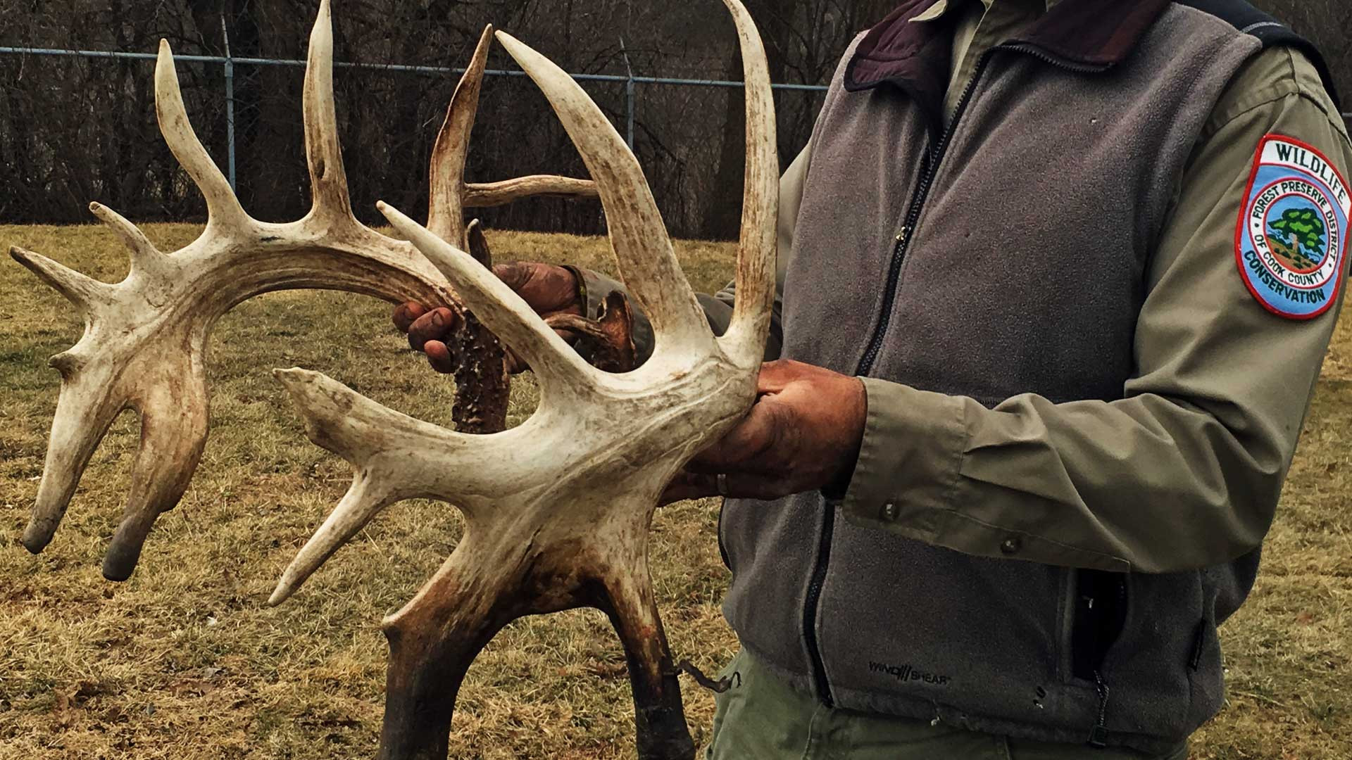 Article Spurs Interest In Giant Buck | Bowhunting  2021 Illinois Whitetail Season Outlook
