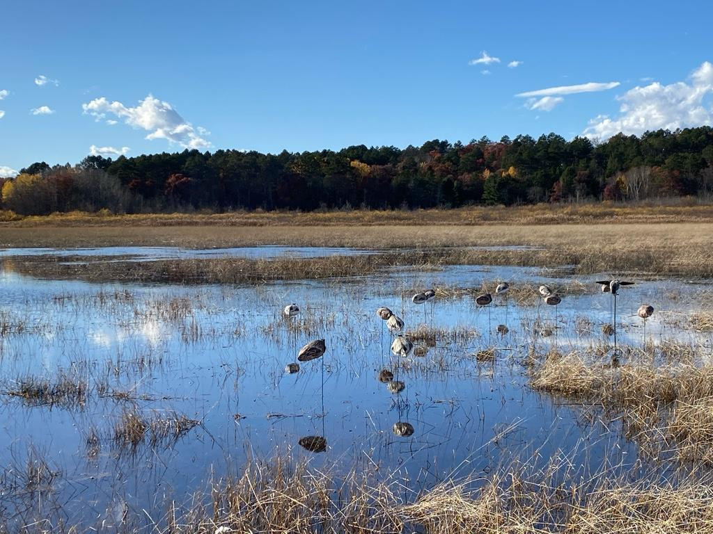 2020-2021 Season Picture Thread : Minnesota Duck Hunting  Pa Reut Season 2021