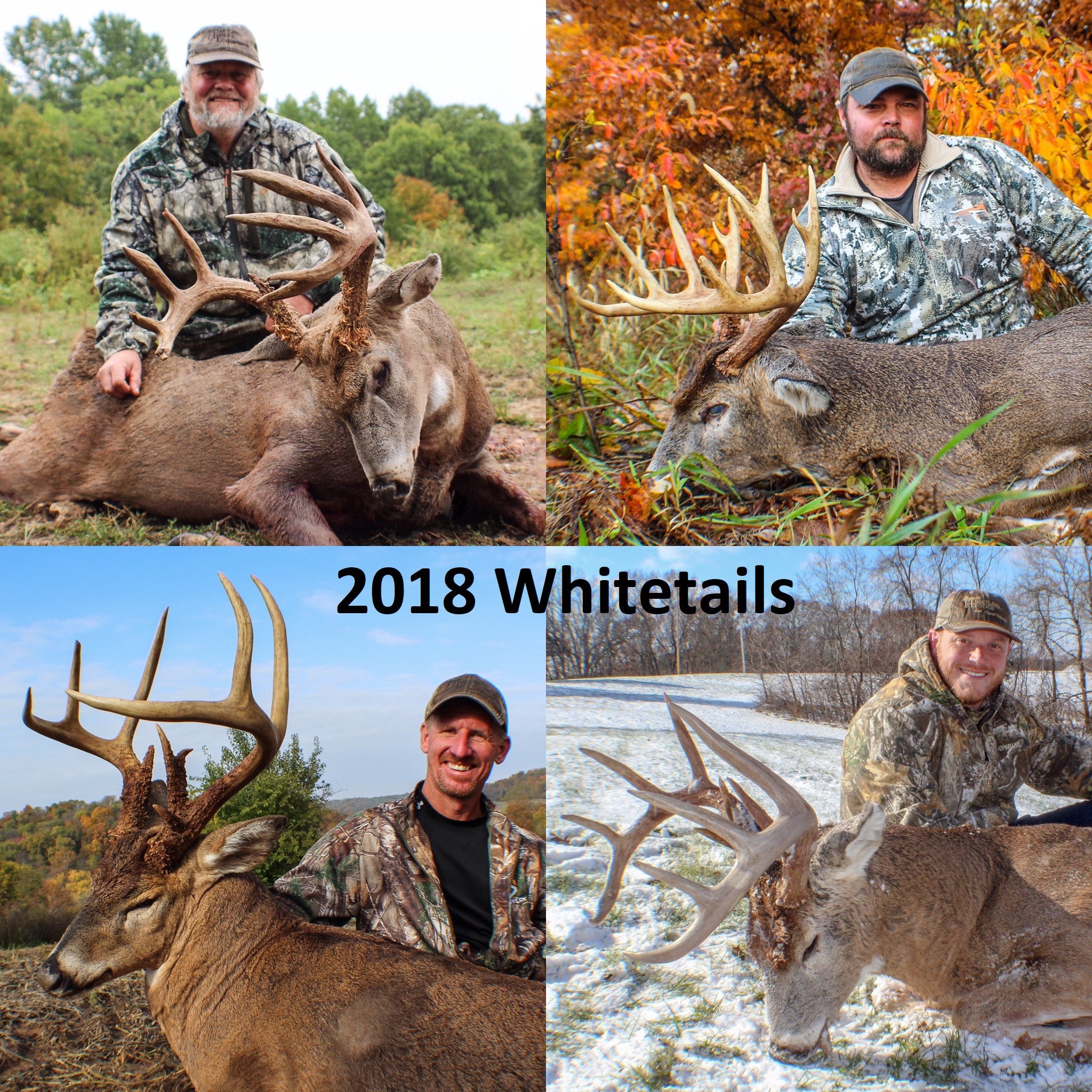 2020 Il Deer Rut Season - Calendar Printable Free  What Are The Peak Times For The Pa Rut Season