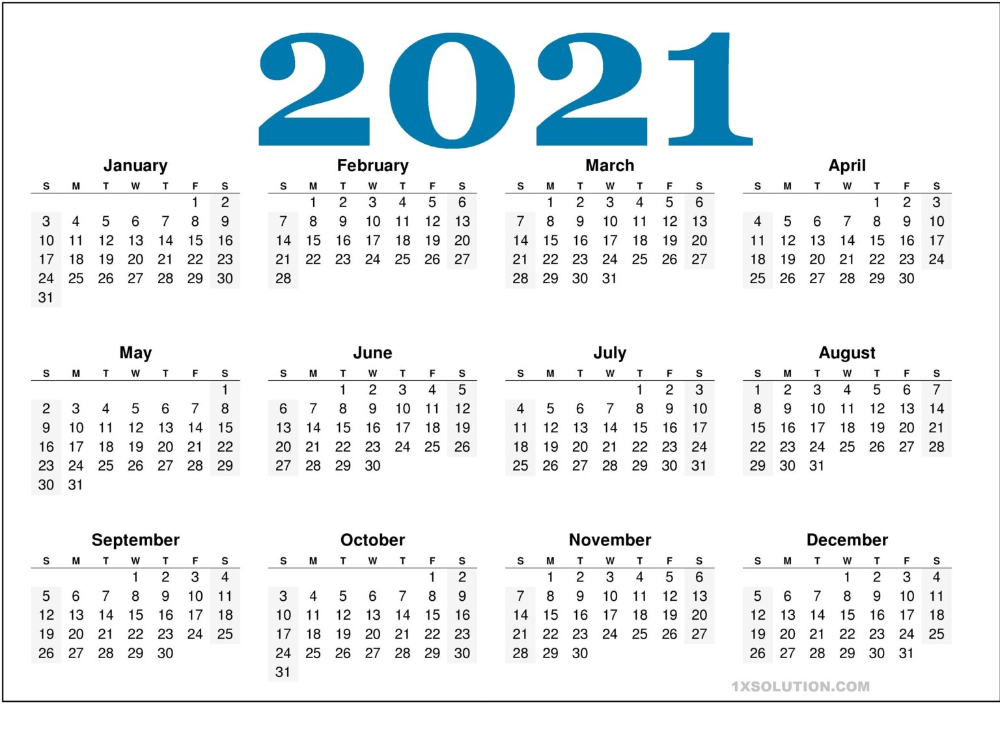 2021 Daily Calendar: To Write Your Important Schedule  Printable Pocket Calendar 2021