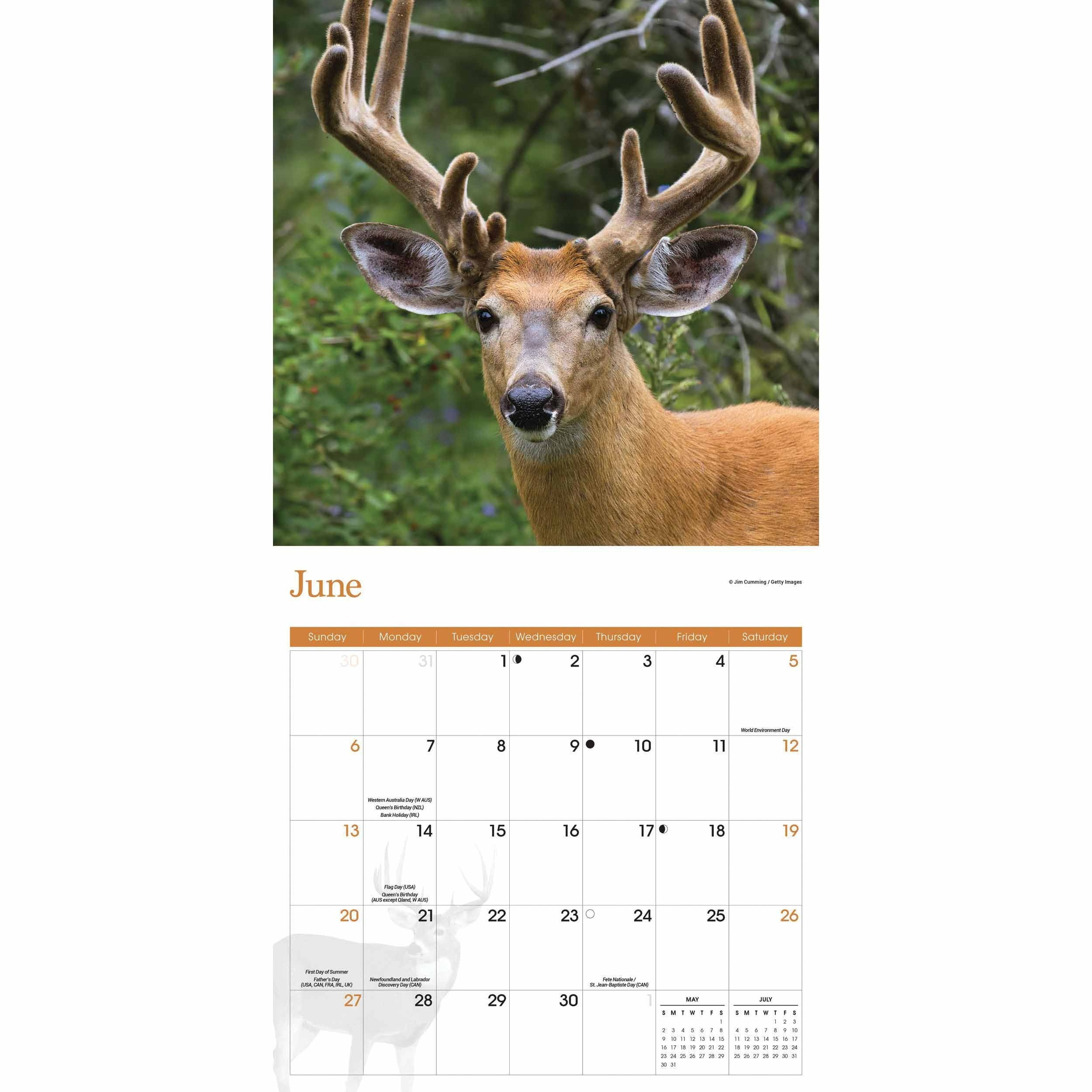 2021 Deer And Deer Hunting Rut Calendar | Calendar  Ga 2021 Deer Rut Map