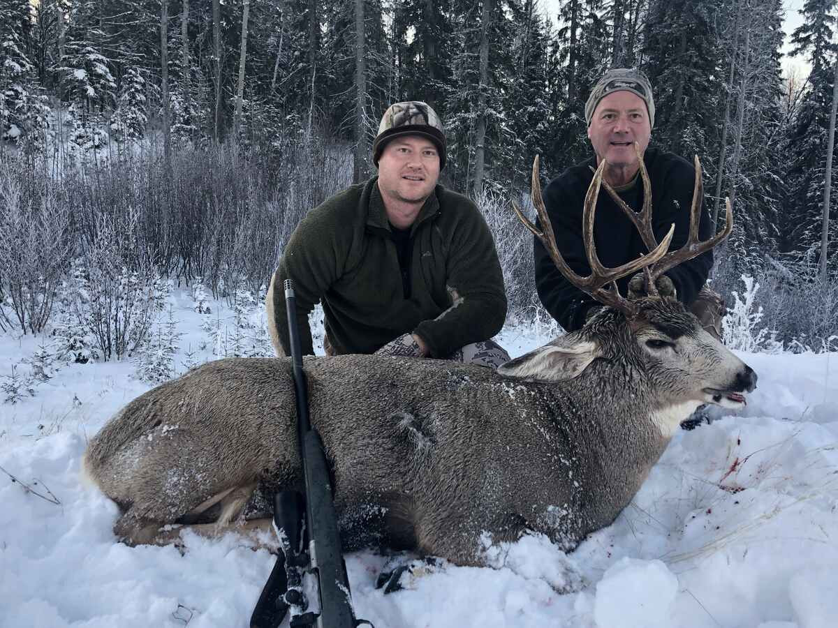 Alberta Mule Deer In Rut Nov 16-21, 2021 For 2021  When Will The Deer Rut Be In Pa 2021