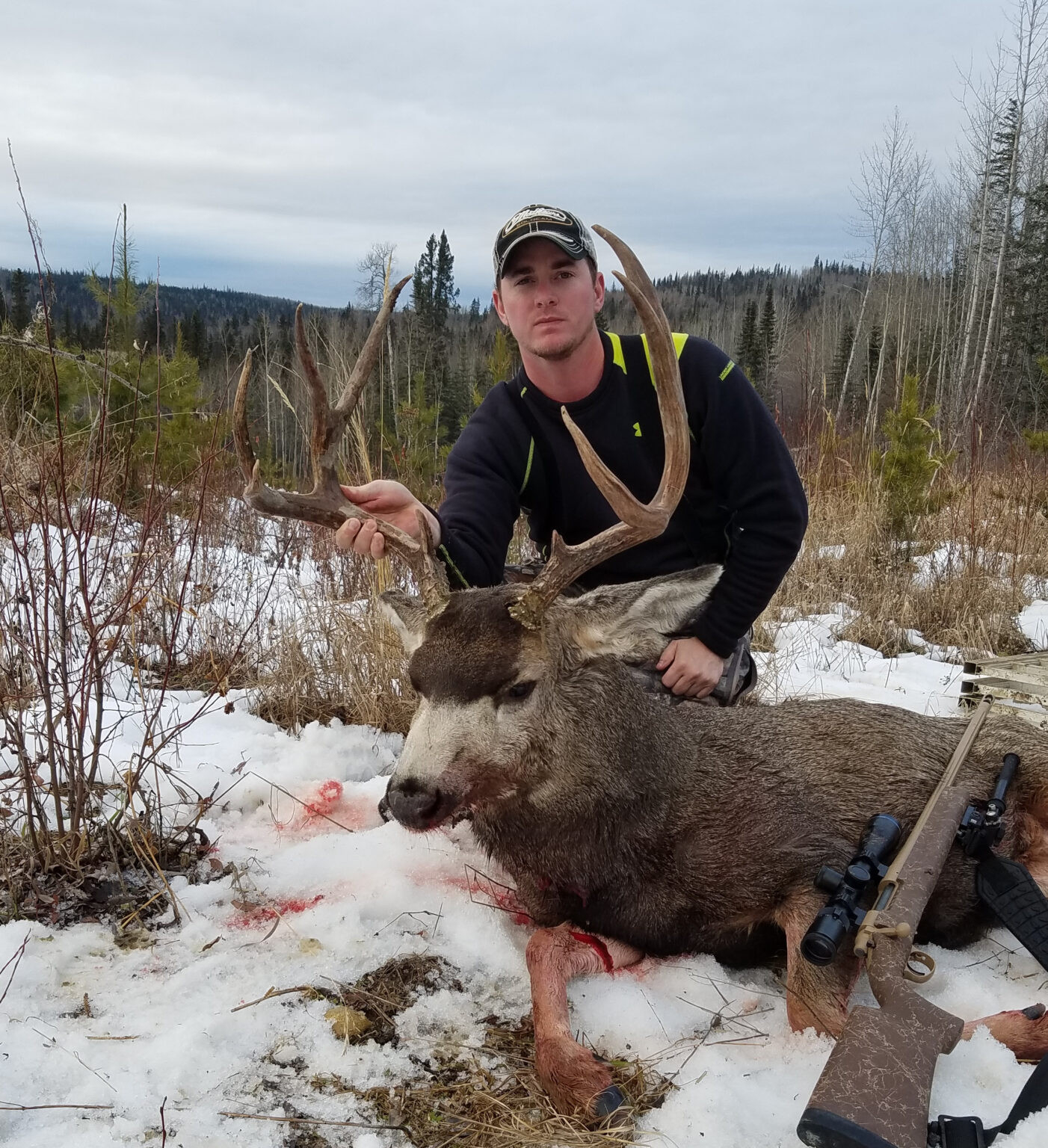 Alberta Mule Deer In Rut Nov 16-21, 2021 Throughout 2021  Deer Rut Predicted Dates For 2021