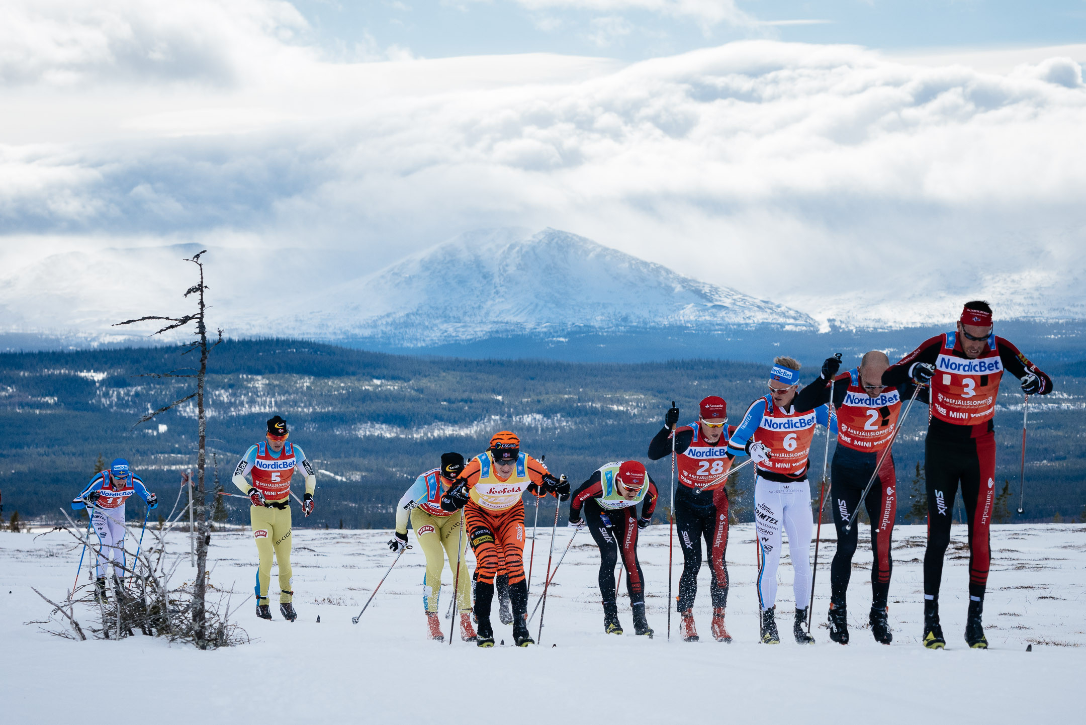 Årefjällsloppet | Fjällens Vackraste Långlopp På Skidor  Pennsylvania Rutt Season 2021/2021