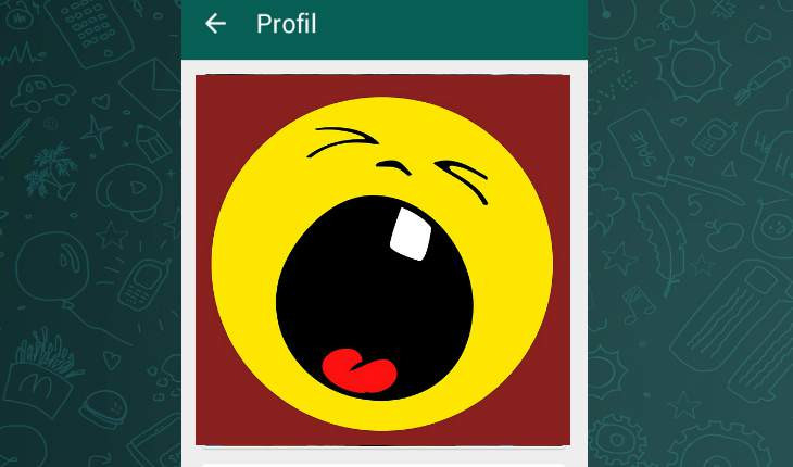 Bildergalerie: Lustige Profilbilder Für Whatsapp  Smiley Kalender Erstellen
