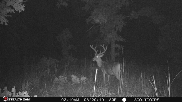 Dates For Indiana Deer Rut 2021 | Calendar Template Printable  Indiana Rut2021