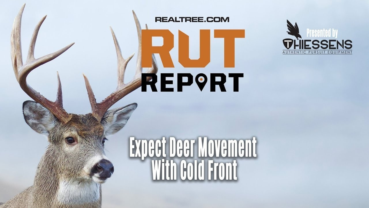 Deer And Deer Hunting Rut Prediction 2021 | Calendar  Deer Rut Predicted Dates For 2021