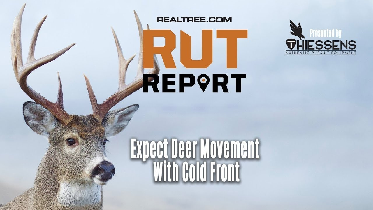 Deer And Deer Hunting Rut Prediction 2021 | Calendar  Ga 2021 Deer Rut Map