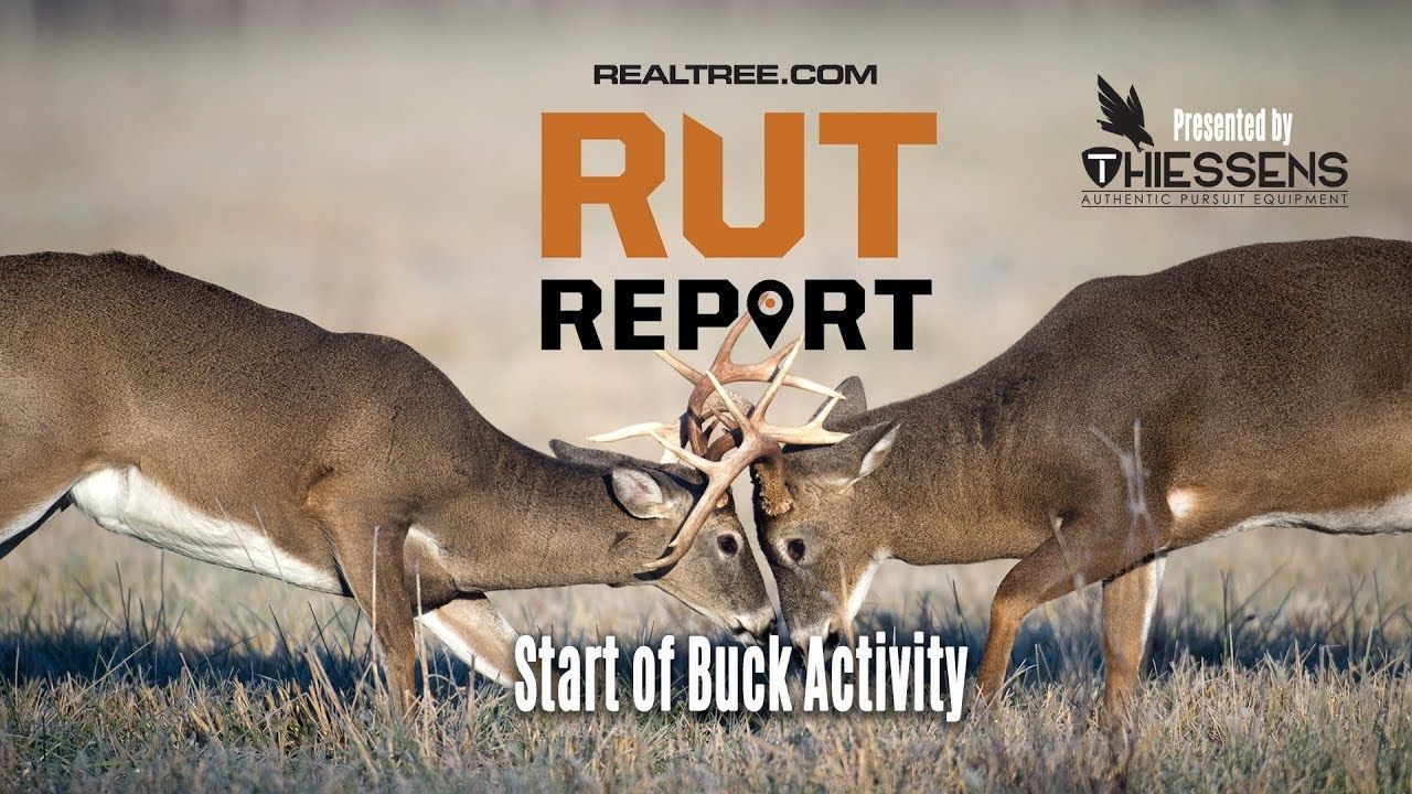 Deer Rut 2021 Ohio | Calendar Template Printable Monthly  Peak Rut In Ohio 2021