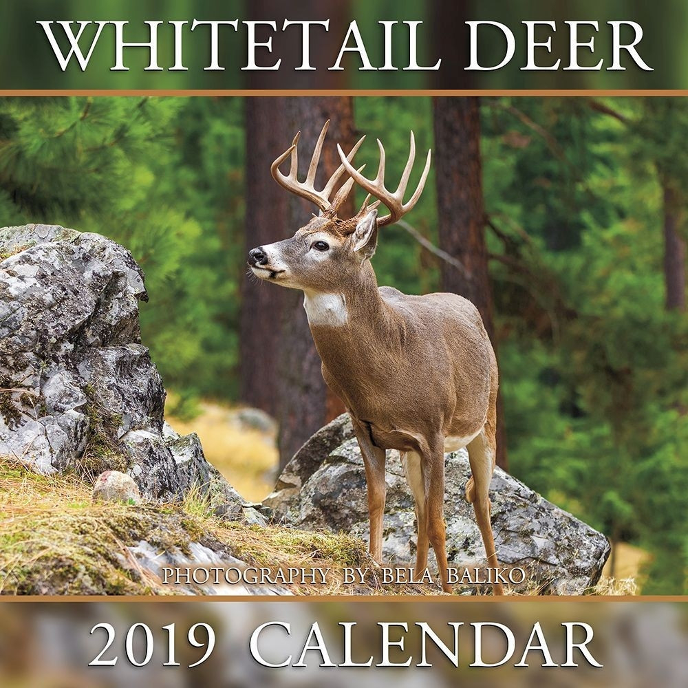 Deer Rut Forecast 2021 | Calendar Printables Free Blank  Peak Rut In Ohio 2021