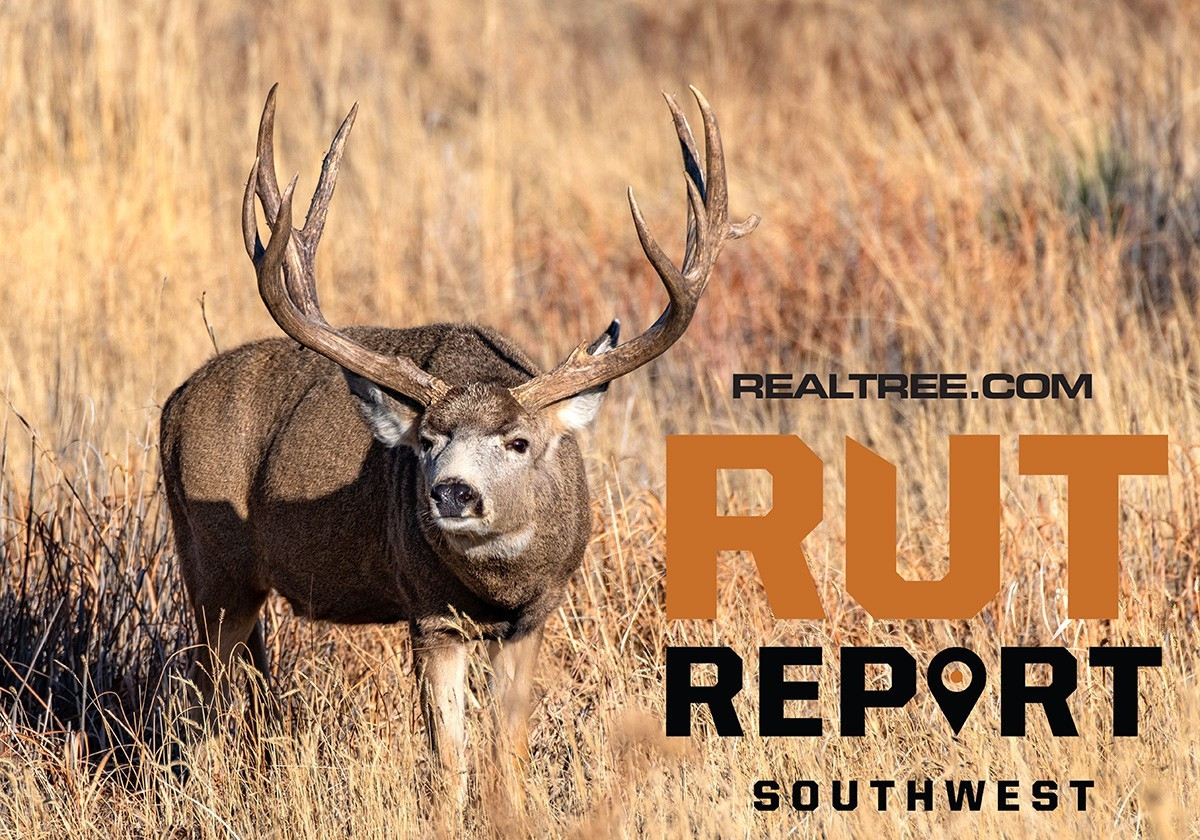 Peak Rut In Ohio 2021 Template Calendar Design