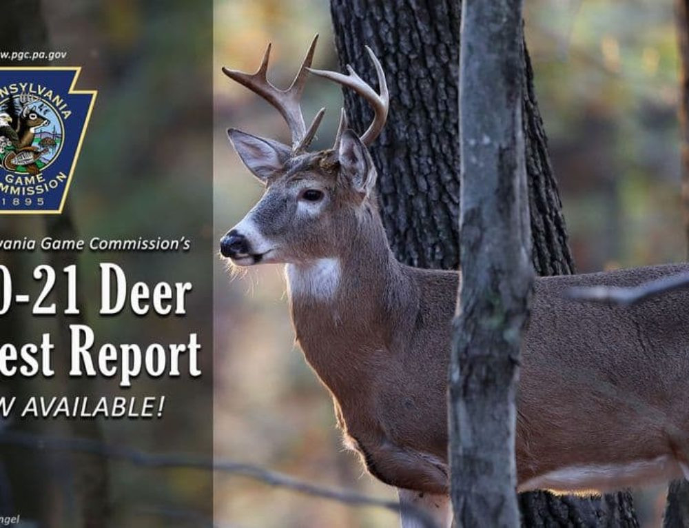 Deer Season 2020: Kansas Girl Shoots 282&quot; Buck In Kiowa  Pennsylvania Rutt Season 2021/2021