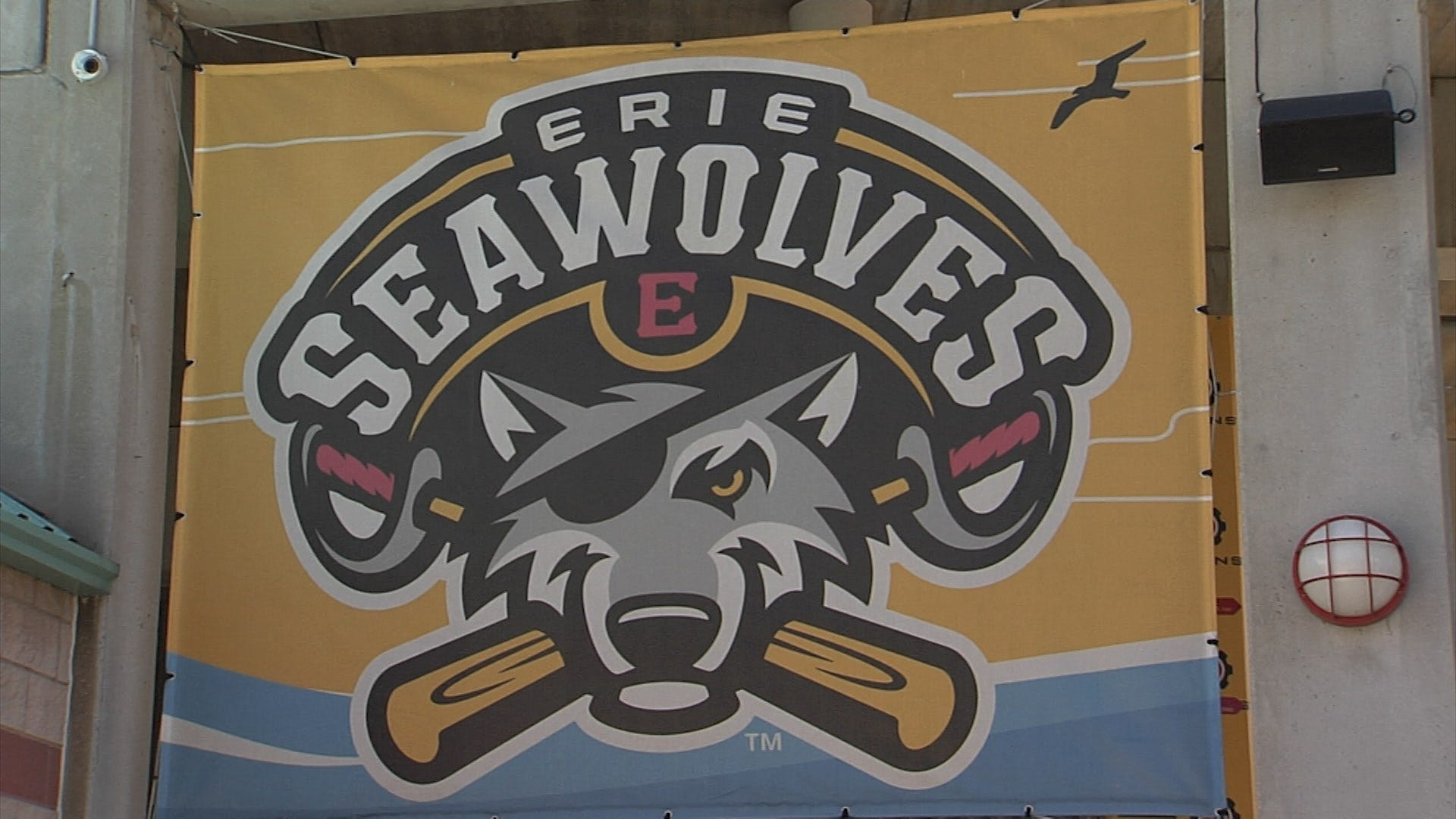 Erie Seawolves To Open 2021 Season In May - Erie News Now  Pa Reut Season 2021
