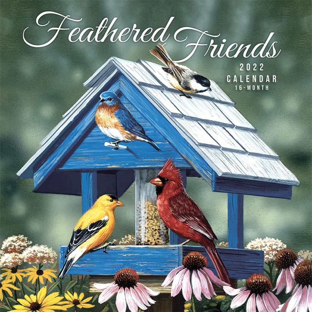Feathered Friends 2022 12 X 12 Inch Monthly Square Wall  Wall Calendar Holder For 12 X 12 Calendar