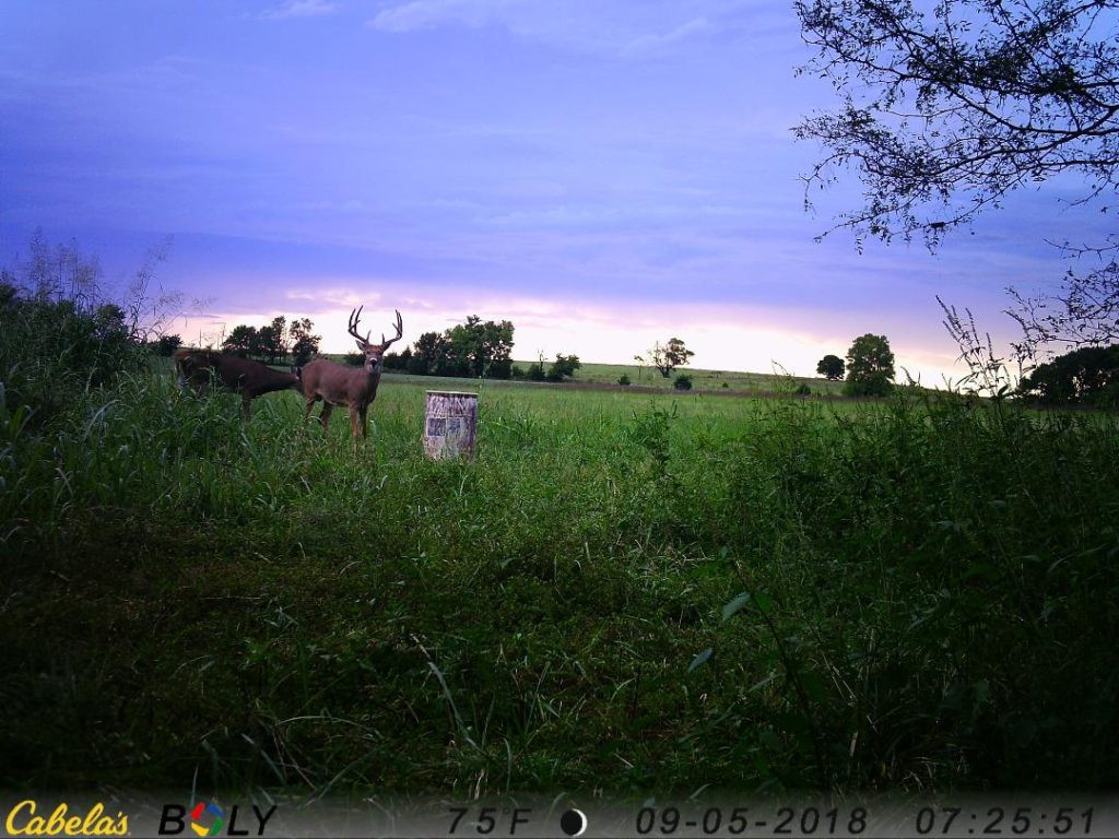 Kansas Whitetail Deer Hunt - Book Now For 2021 - B &amp; C  2021 Kansas Deer Hunting Outlook