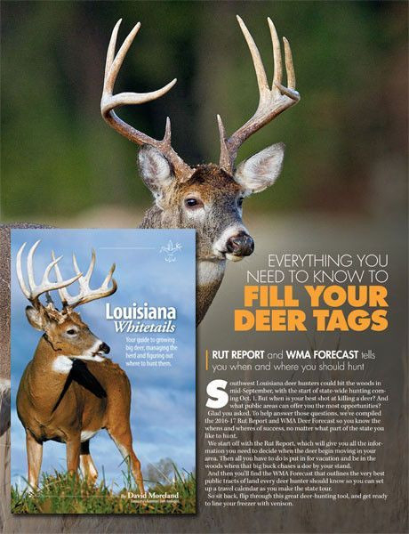 Lousiana Deer Rut For 2021 | Calendar Printables Free Blank  Ny Deer Hunting Rut Dates 2021