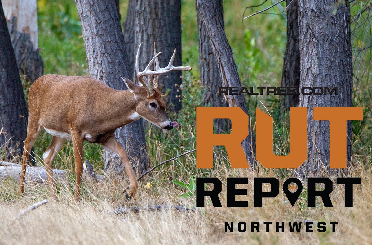 Peak Rut Predictions For 2021 | Calendar Template Printable  Deer Rut For 2021