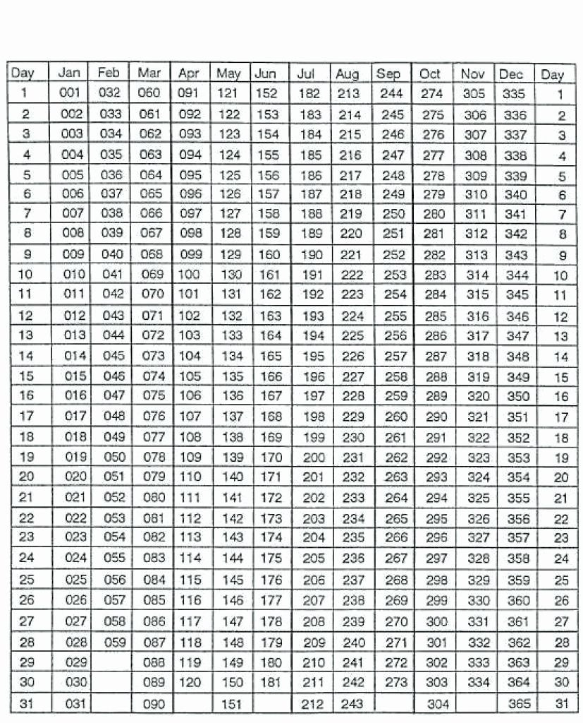 Julianne Date Code 2021 - Template Calendar Design