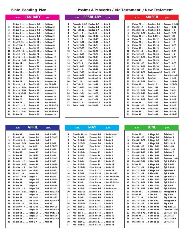 Enero A Junio Reading Plan | Year Bible Reading Plan  Free Printable Bible Reading Calendar