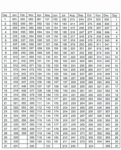 Leap Year Julian Calander | Printable Calendar Template 2021  What To Do Depo Leap Year